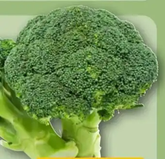 REWE Rewe Bio Broccoli Angebot