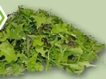 REWE Rewe Bio Crispy Salatmix Angebot