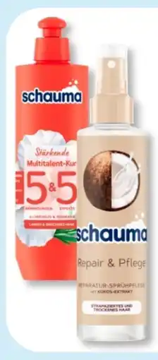 Budni Schwarzkopf Schauma Kur 5&5 Angebot