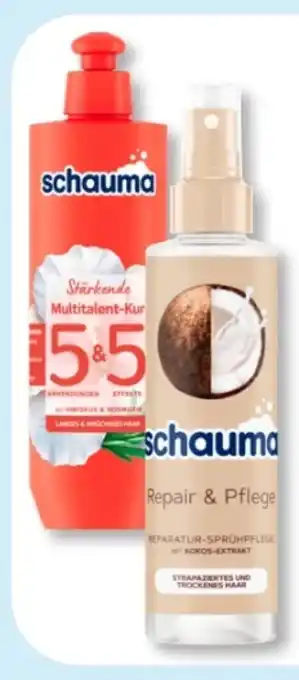 Budni Schwarzkopf Schauma Kur 5&5 Angebot