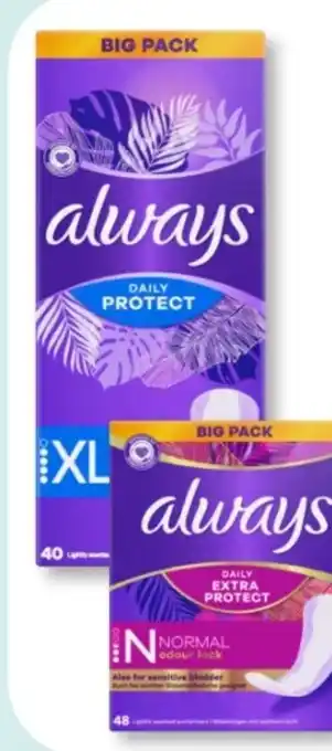 Budni Always Slipeinlagen Daily Protect Angebot
