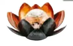 Hellweg Flector Garten LED-Solar-Dekoleuchte Lotus Angebot
