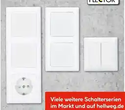 Hellweg Flector Technik Rahmen 1-fach Angebot