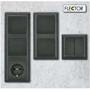 Hellweg Flector Technik Abdeckrahmen Angebot