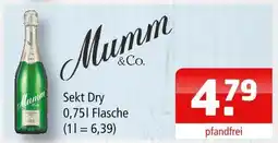 Getränke Oase Mumm & co. sekt dry Angebot