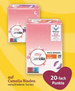 tegut Camelia camelia binden Angebot
