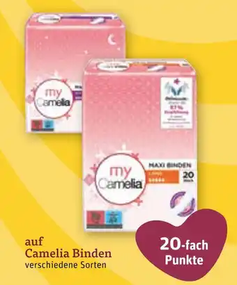 tegut Camelia camelia binden Angebot
