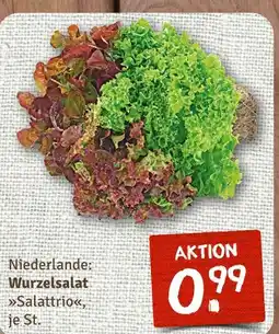 nahkauf Salattrio Angebot