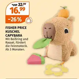 Müller Fisher price kuschel capybara Angebot