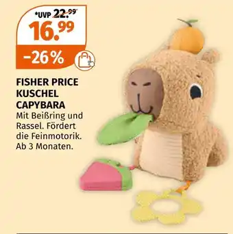 Müller Fisher price kuschel capybara Angebot