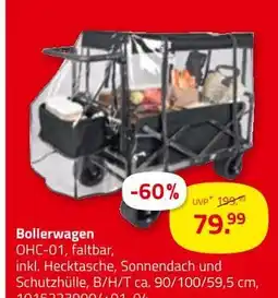 ROLLER Bollerwagen Angebot