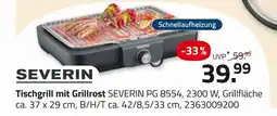 ROLLER Severin tischgrill mit grillrost Angebot