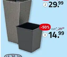 ROLLER Pflanzkübel Angebot