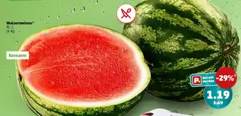 PENNY Wassermelone Angebot