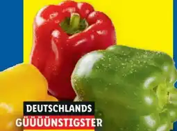 Lidl Paprika Mix Angebot