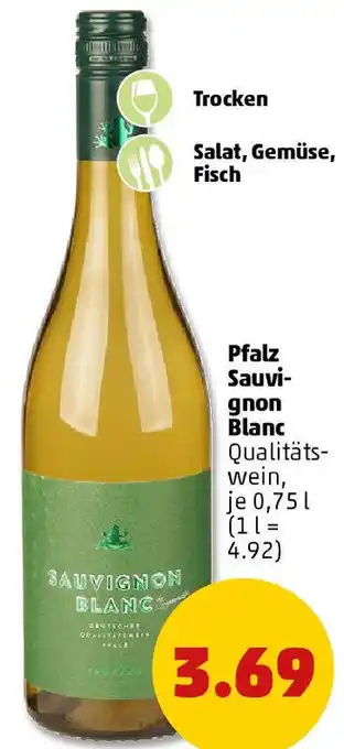 PENNY Pfalz Sauvignon Blanc Angebot