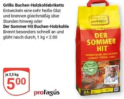 Globus profagus Grillis Buchen-Holzkohlebriketts Angebot
