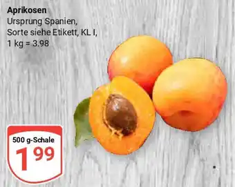 Globus Aprikosen Angebot