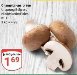 Globus Champignons braun Angebot