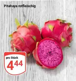 Globus Pitahaya rotfleischig Angebot