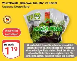 Globus Wurzelsalate,,Salanova-Trio-Mix im Beutel Angebot