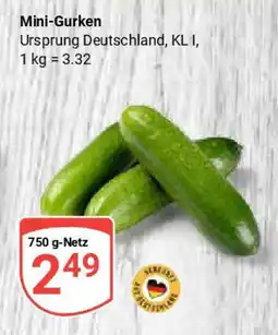 Globus Mini-Gurken Angebot