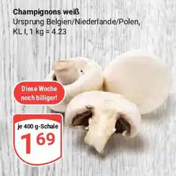 Globus Champignons weiß Angebot