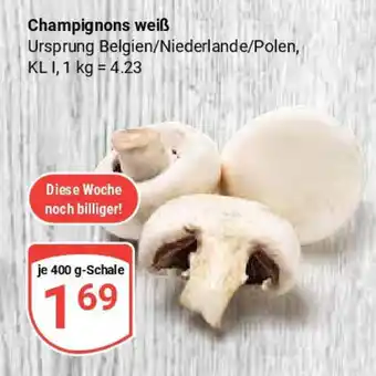 Globus Champignons weiß Angebot