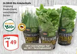 Globus GLOBUS Bio Kräutertöpfe Angebot