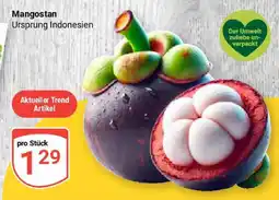 Globus Mangostan Angebot