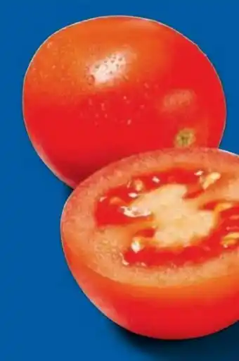 Lidl Romatomaten Angebot