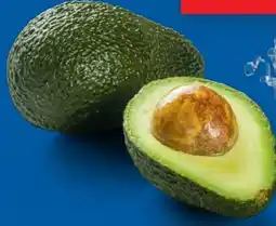Lidl Avocados Angebot
