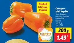 Lidl Orangene Mini Paprika Angebot