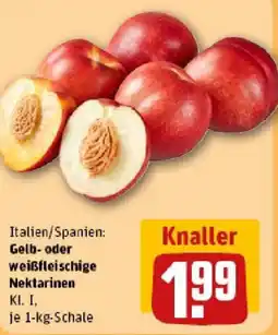 REWE Gelb- oder weißfleischige Nektarinen Angebot