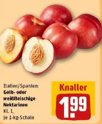 REWE Gelb- oder weißfleischige Nektarinen Angebot