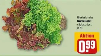 REWE Wurzelsalat Angebot