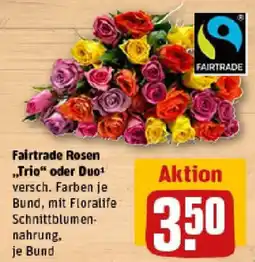REWE Fairtrade Rosen „Trio“ oder Duo Angebot