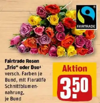 REWE Fairtrade Rosen „Trio“ oder Duo Angebot