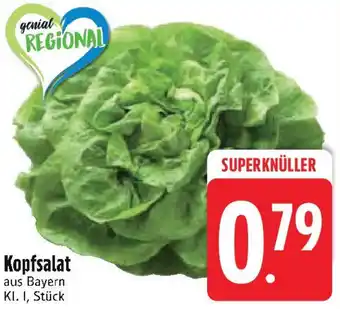 Edeka Kopfsalat Angebot
