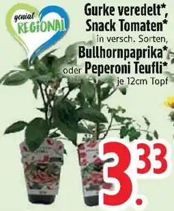 Edeka Gurke veredelt, Snack Tomaten, Bullhornpaprika oder Peperoni Teufli Angebot