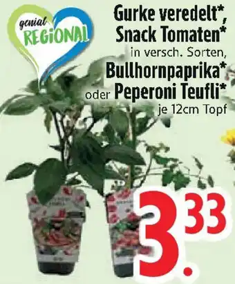 Edeka Gurke veredelt, Snack Tomaten, Bullhornpaprika oder Peperoni Teufli Angebot