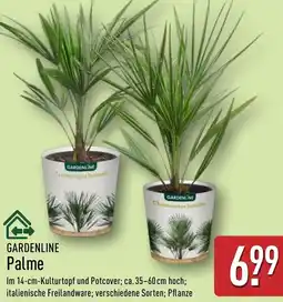Aldi Nord GARDENLINE Palme Angebot