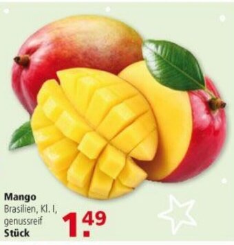 Multi Markt Mango Angebot