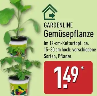 Aldi Nord GARDENLINE Gemüsepflanze Angebot