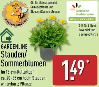 Aldi Nord GARDENLINE Stauden/ Sommerblumen Angebot