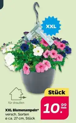 NETTO XXL Blumenampeln Angebot