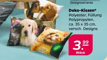 NETTO Deko-Kissen Angebot
