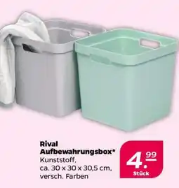 NETTO Rival Aufbewahrungsbox Angebot