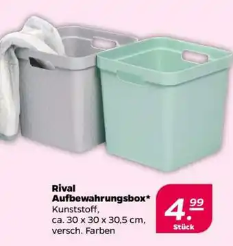 NETTO Rival Aufbewahrungsbox Angebot