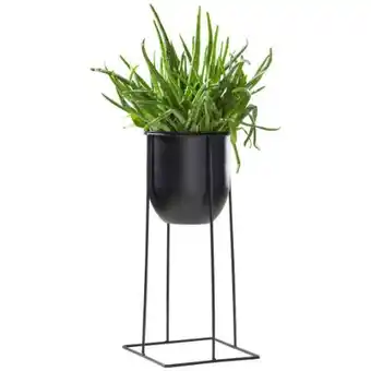 XXXLutz Ambia Pflanztopf Angebot